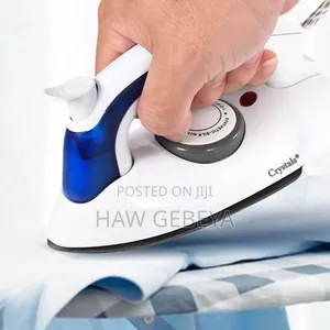 Photo - Palm Size Steam Iron