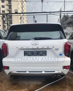 New Hyundai Palisade 2024 White