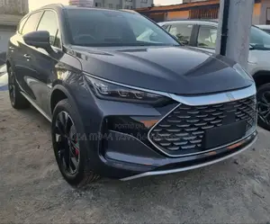 New BYD Tang DM-i 2024 Gray