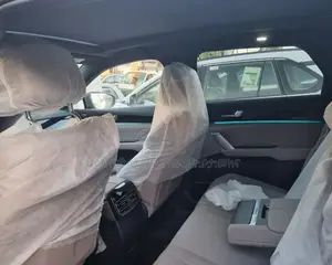 New BYD Tang DM-i 2024 Gray