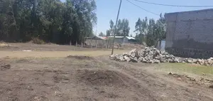 140 ካሬ ዩኒሳ አደባባይ ኦሮሚያ ባንክ ጀርባ። ባቦ