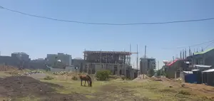 140 ካሬ ዩኒሳ አደባባይ ኦሮሚያ ባንክ ጀርባ። ባቦ