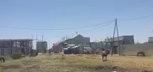 140 ካሬ ቦታ ዩኒሳ ኦሮሚያ ባንክ ጀርባ