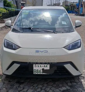 Photo - New BYD Seagull 2024 White