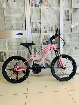 Photo - Bicycle 20 Number