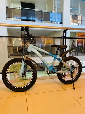 Photo - Bicycle 20 Number