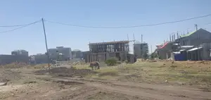 140 ካሬ መሬት ዩኒሳ ኦሮሚያ ባንክ ጀርባ። ባቦ።