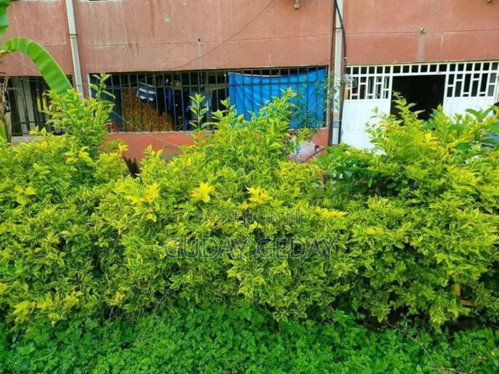 Furnished 1bdrm Condo in Akaky Kaliti for sale