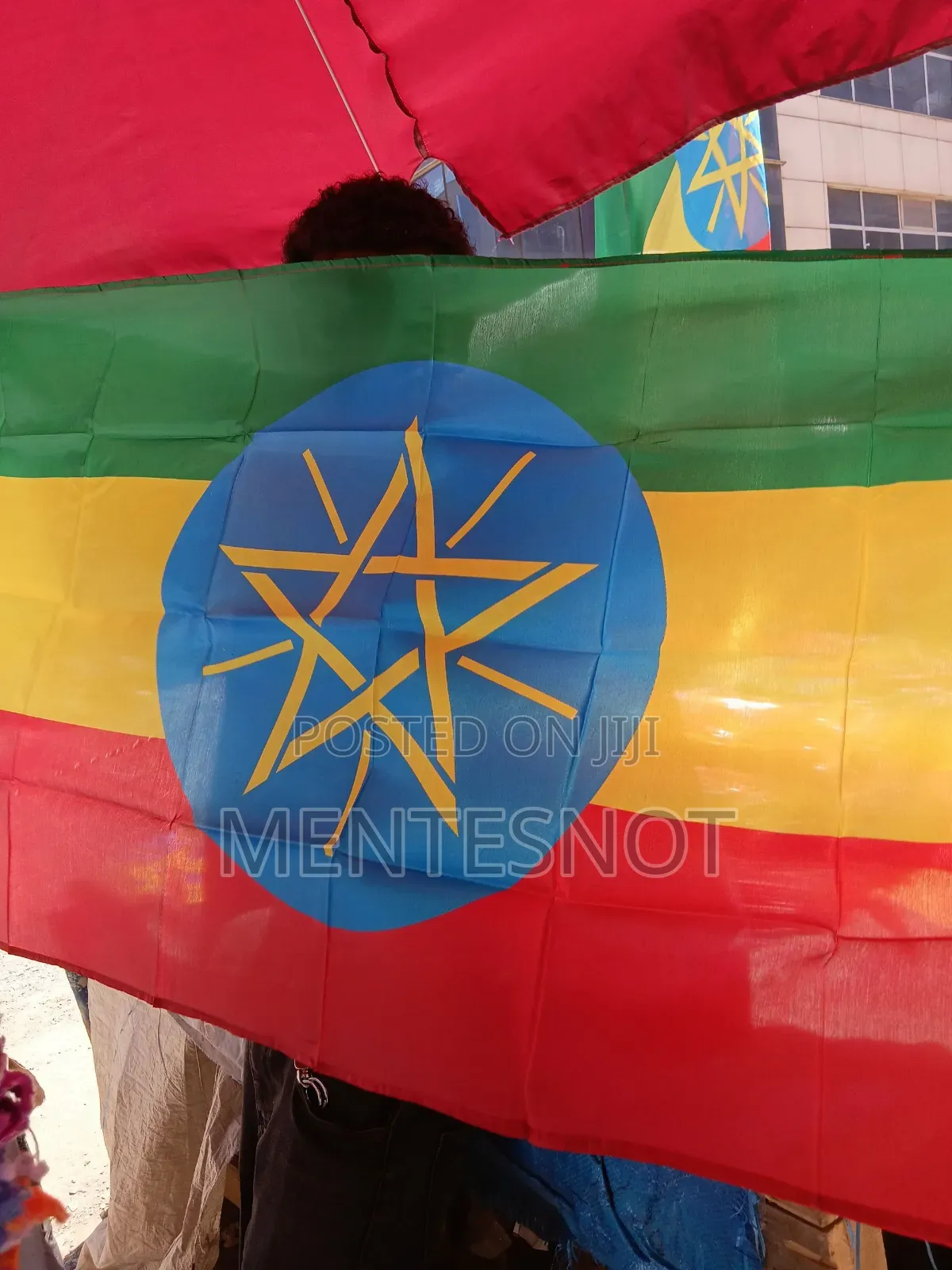 Flags (ባንዲራ)