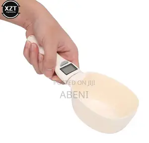 Measuring Electric Spoon 