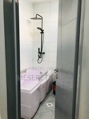 Furnished 1bdrm Apartment in Gerij, Bole for rent