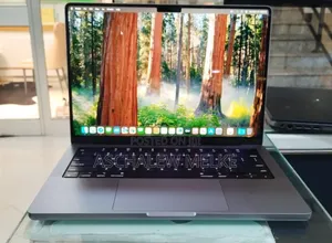 New Laptop Apple MacBook Pro 2021 M1 16GB Apple M1 SSD 1T