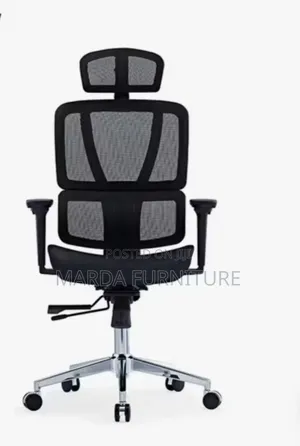 Ergonomic Chair