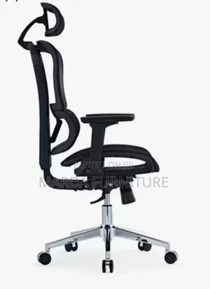 Ergonomic Chair