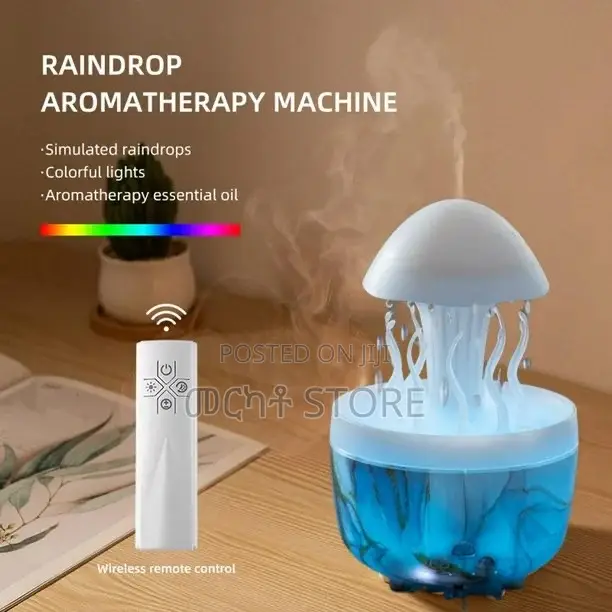 Raindrop Aromatherapy Humidifier