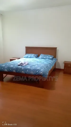 Furnished 2bdrm Apartment in Zema, Bole for rent