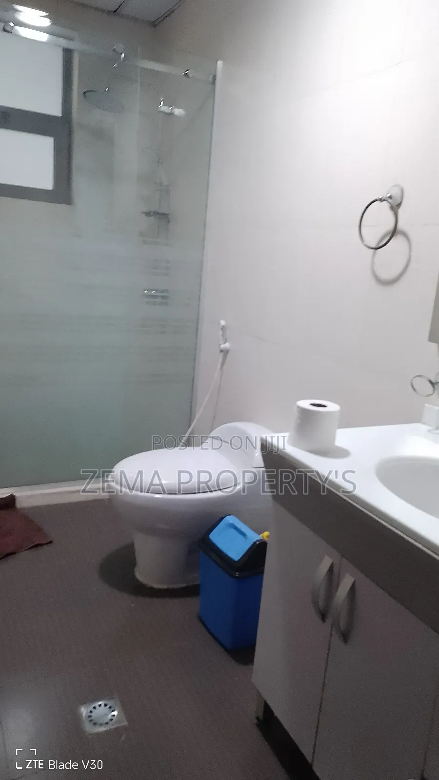 Furnished 2bdrm Apartment in Zema, Bole for rent