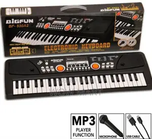 የልጆች ሙዚቃ መጫወቻ ፒያኖ የራሱ ማይክ ያለው