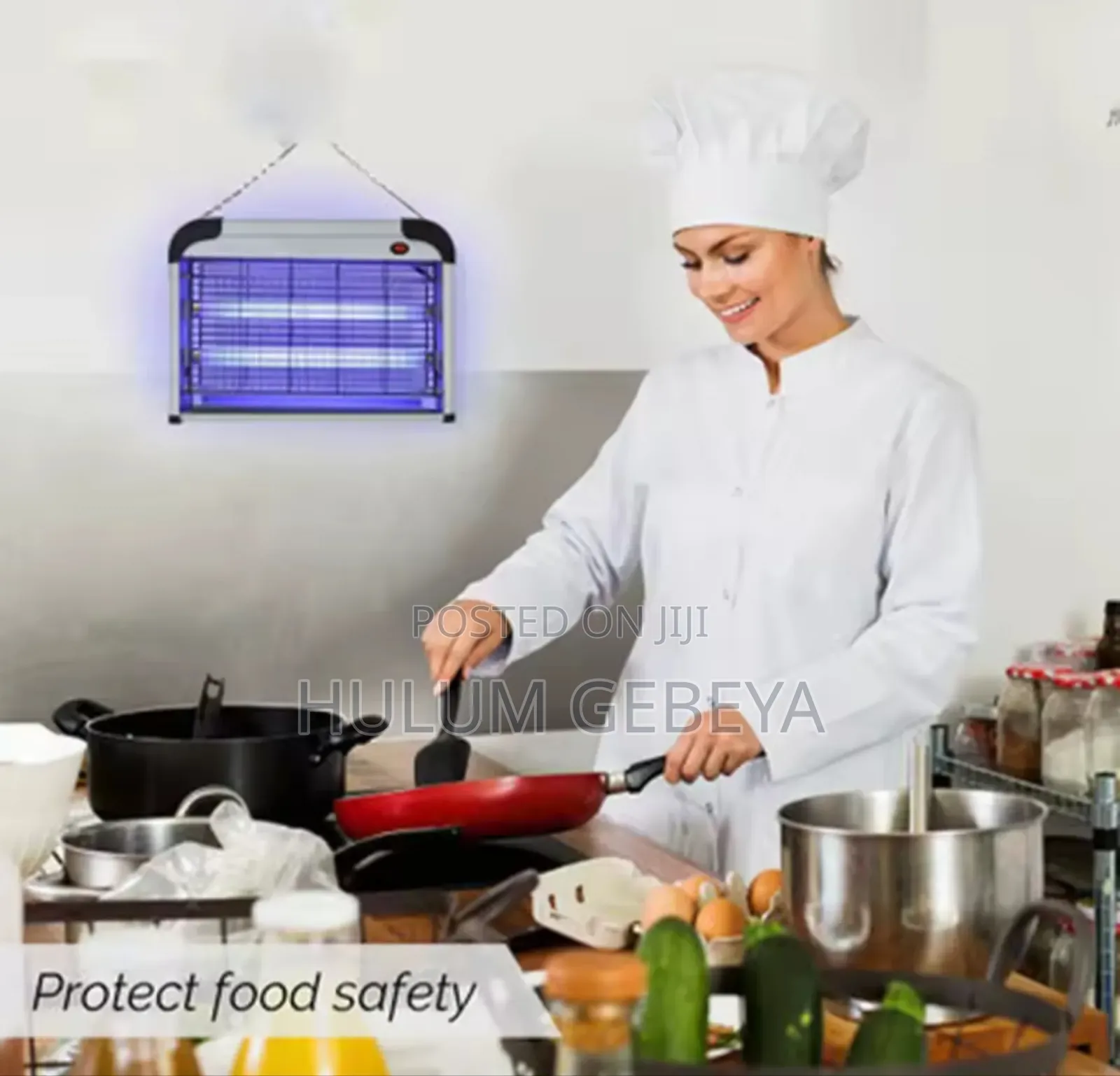 Electric Pest Killer 16w