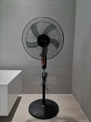Standing Fan