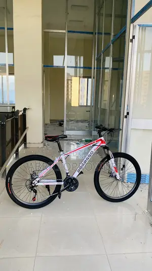 Photo - Original Bicycle 7 Marsh Bergasso7bike7bicycle7bike7bike