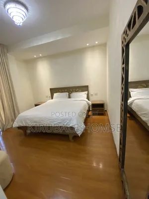 Furnished 2bdrm Apartment in Bole for rent