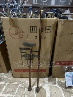 Photo - Walking Stick Prevents the Stick From Falling Cane