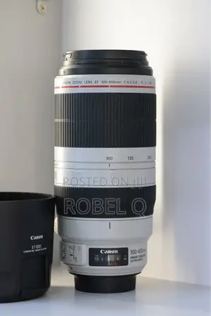 Photo - Canon Zebra Ef 100-400mm Mark 2