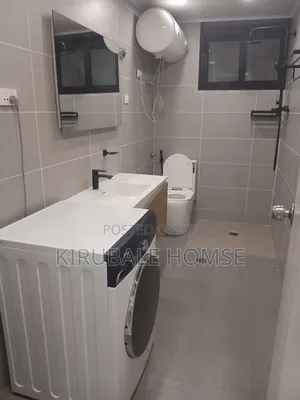 Furnished 1bdrm Apartment in Bole for rent