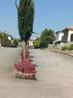 Photo - Furnished 4bdrm Apartment in Roseta Real State, Yeka for sale