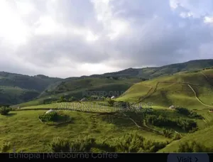 Photo - Coffee Land for Sale