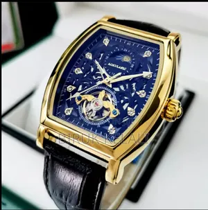 Men's Mechanical Watch Elegant and Sophisticated Watch