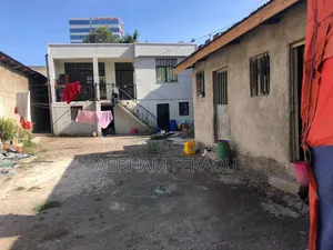Photo - Lebu Mebrat Yemishet Bota 308 Kare