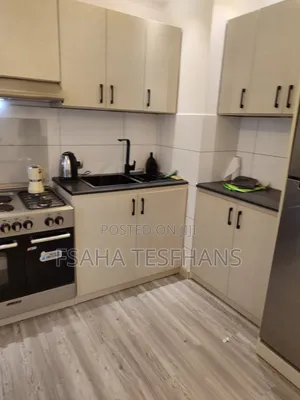 Photo - Furnished 2bdrm Apartment in Apartment For Rent, Yeka for rent