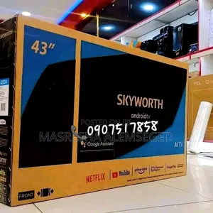 Skyworth Television