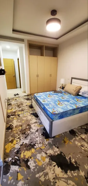 Furnished 2bdrm Apartment in Bole for rent