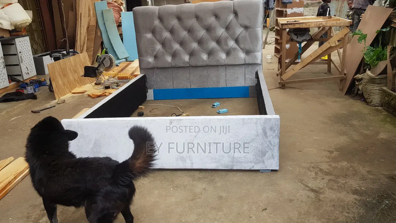 Alga አልጋ Brand New