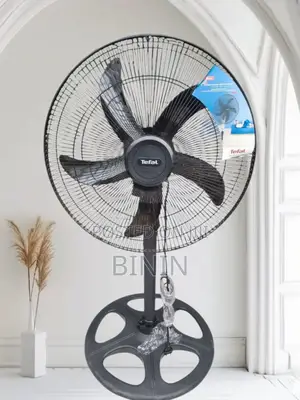 Tefal Freestanding Fan for Sale Price in Ethio Free Deliver