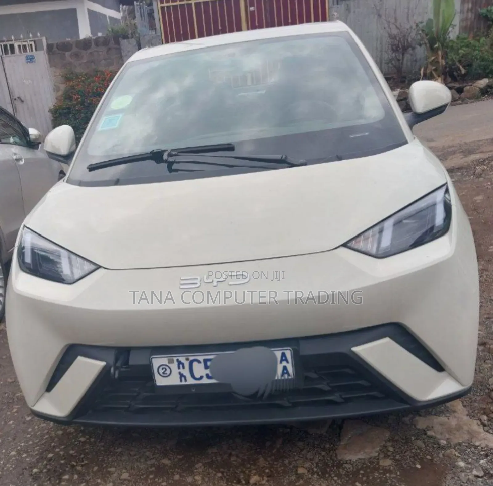 New BYD Seagull 2024 White