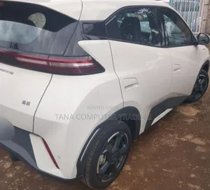 New BYD Seagull 2024 White