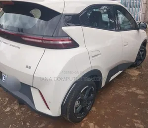 New BYD Seagull 2024 White