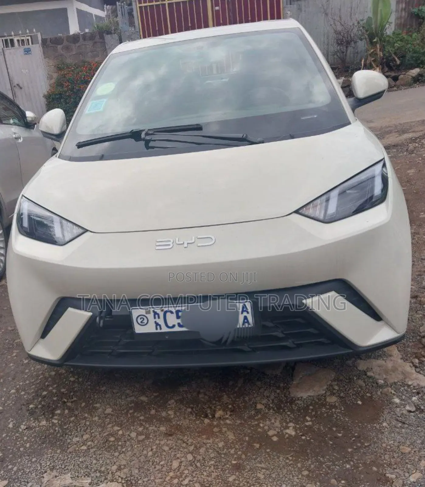 New BYD Seagull 2024 White