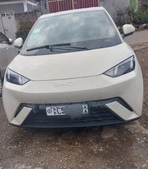 New BYD Seagull 2024 White