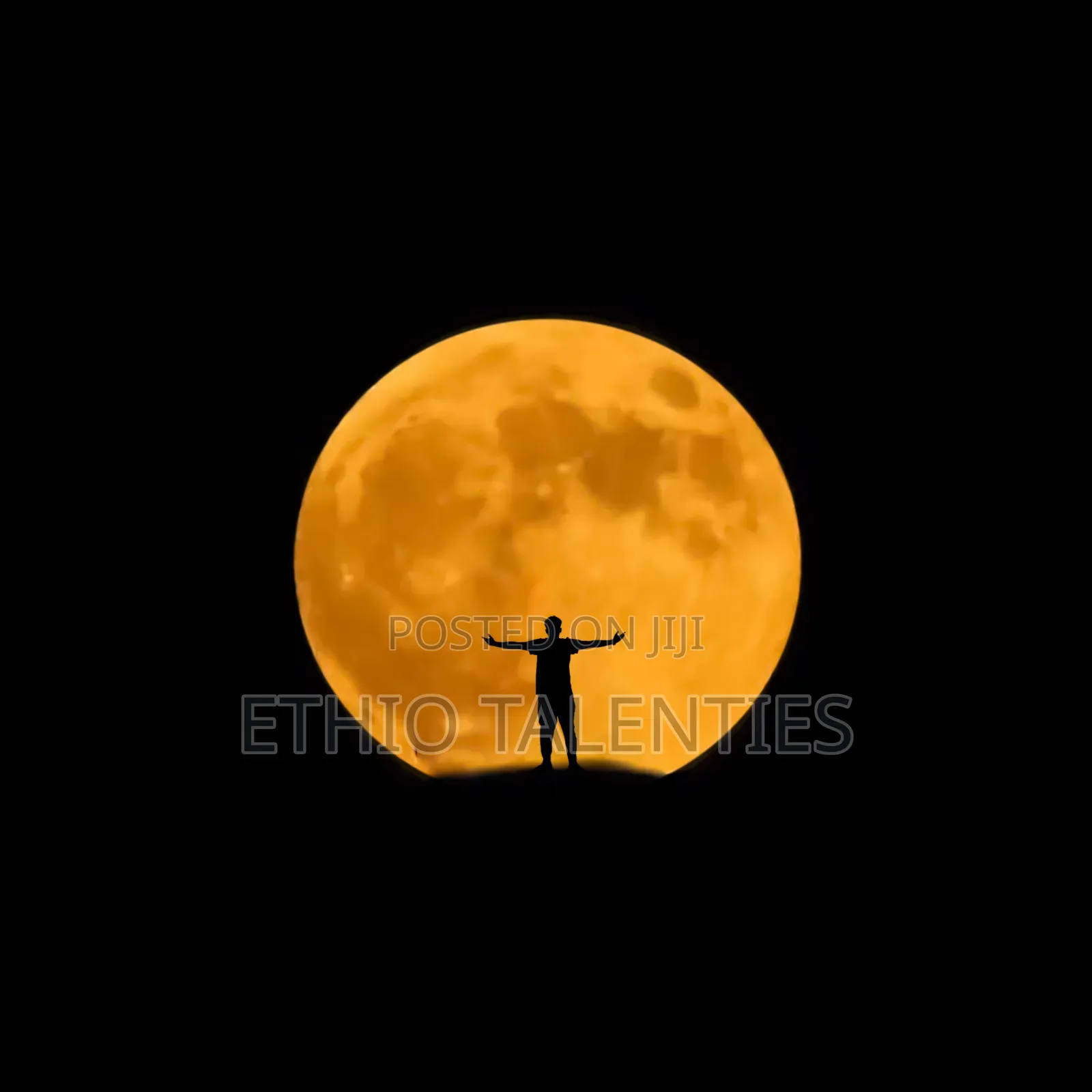 Logo Design, Photo Editing, Video Editing, Photo Retouching