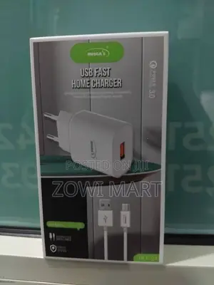 Ruggas Usb Fast Home Micro Charger