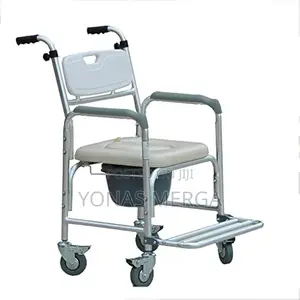 Toilet Chair, and a Toilet Which Can Be Used in the Bathroom