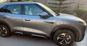 BYD Yuan Up 2024 Gray