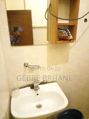 Photo - Furnished 1bdrm Apartment in Apartment, Yeka for rent