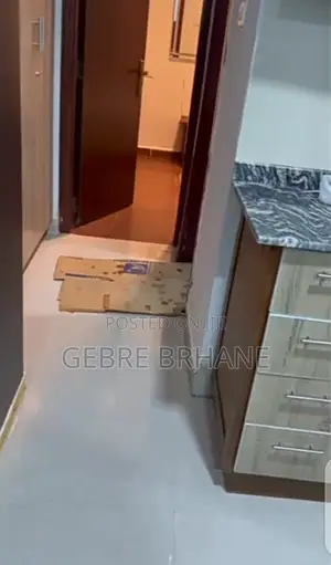 Furnished 1bdrm Apartment in Apartment, Yeka for rent