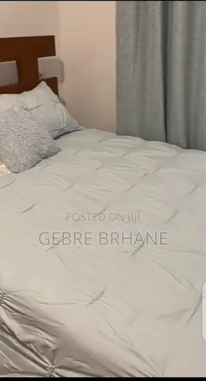 Furnished 1bdrm Apartment in Apartment, Yeka for rent